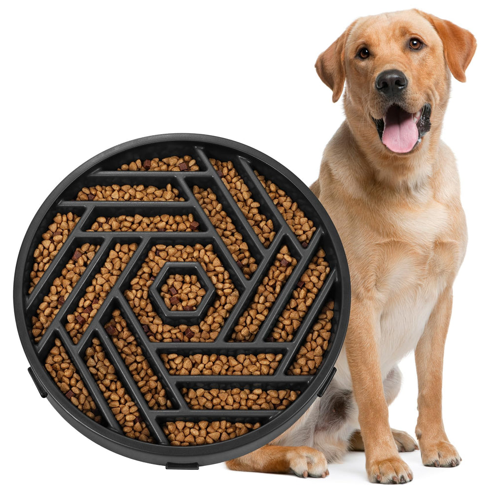 WHIPPY slow-feeder dog bowl with puzzle maze design slows eating and promotes mindful meals.