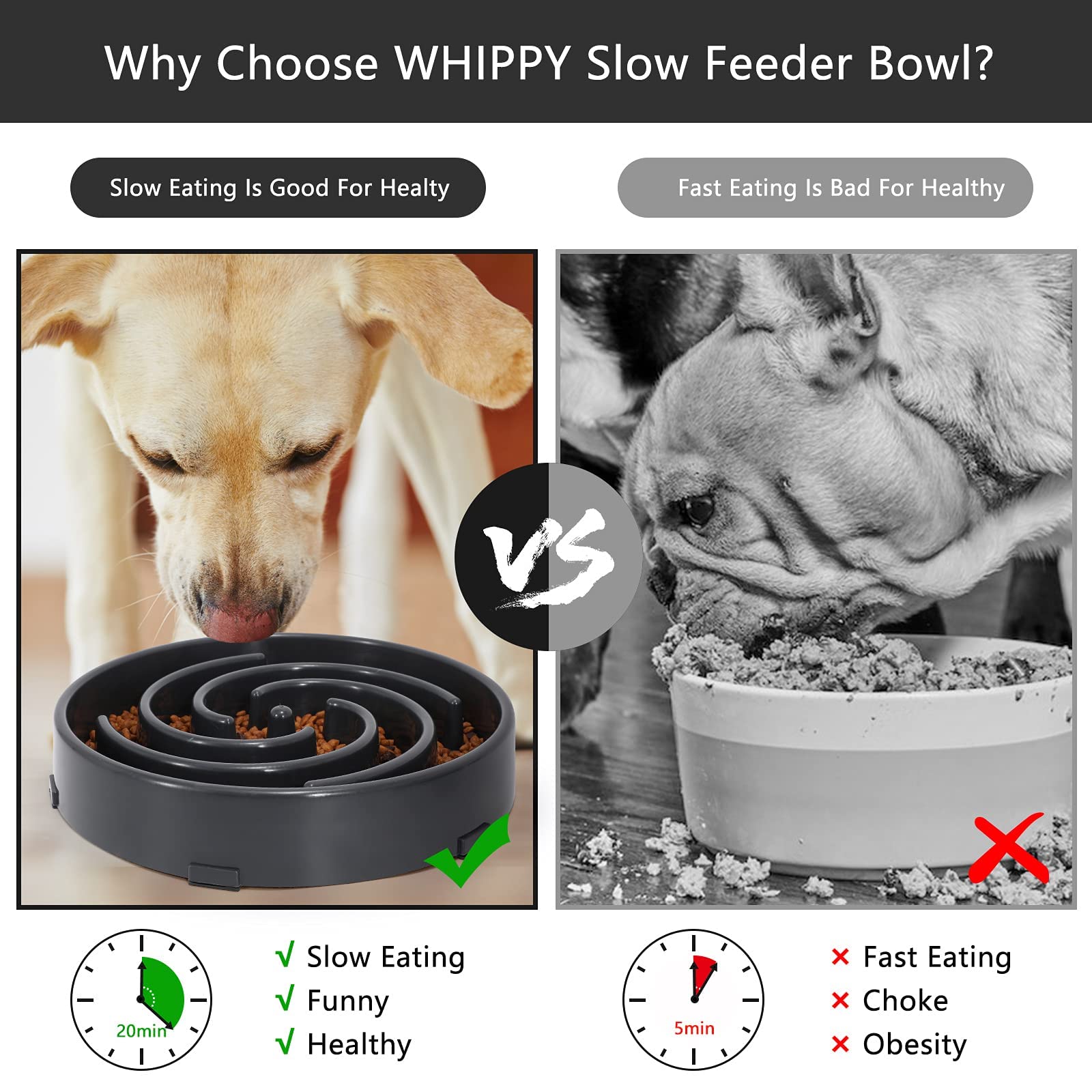 WHIPPY dishwasher-safe bowl cleans quickly after meals.