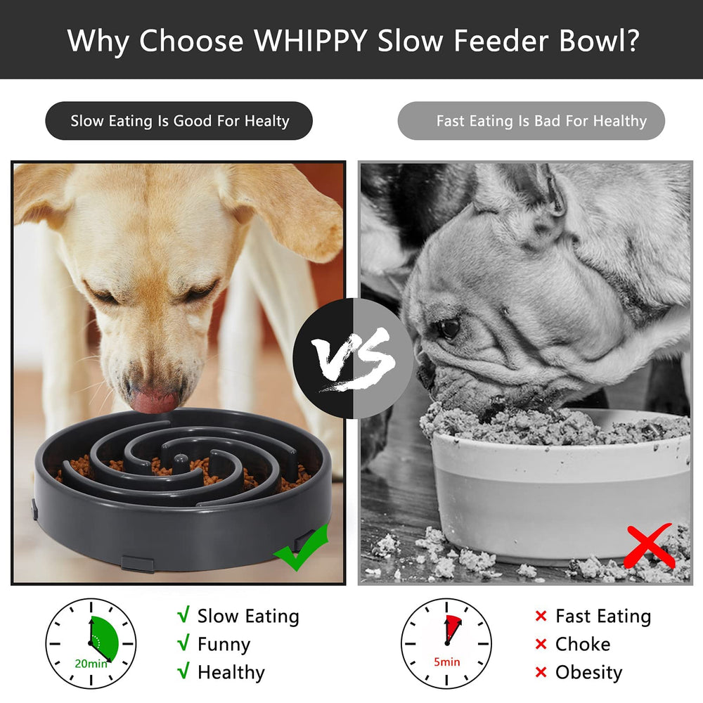 WHIPPY dishwasher-safe bowl cleans quickly after meals.