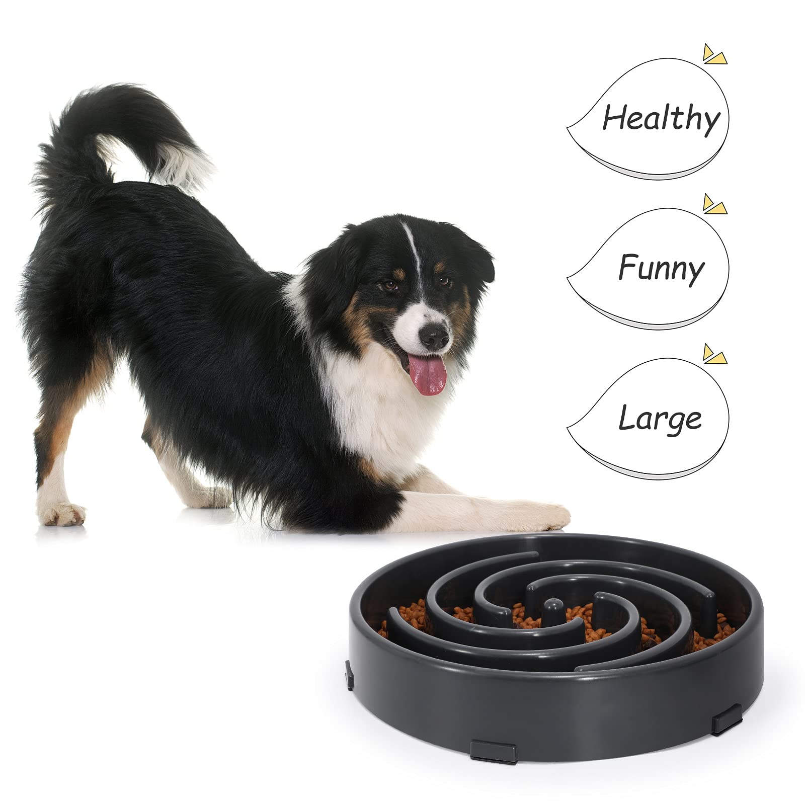 WHIPPY dog using maze bowl during mealtime for interactive feeding.