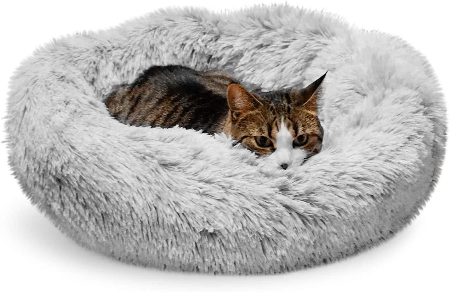 Whiskers & Friends calm round donut design enhances comfort for anxious indoor cats.