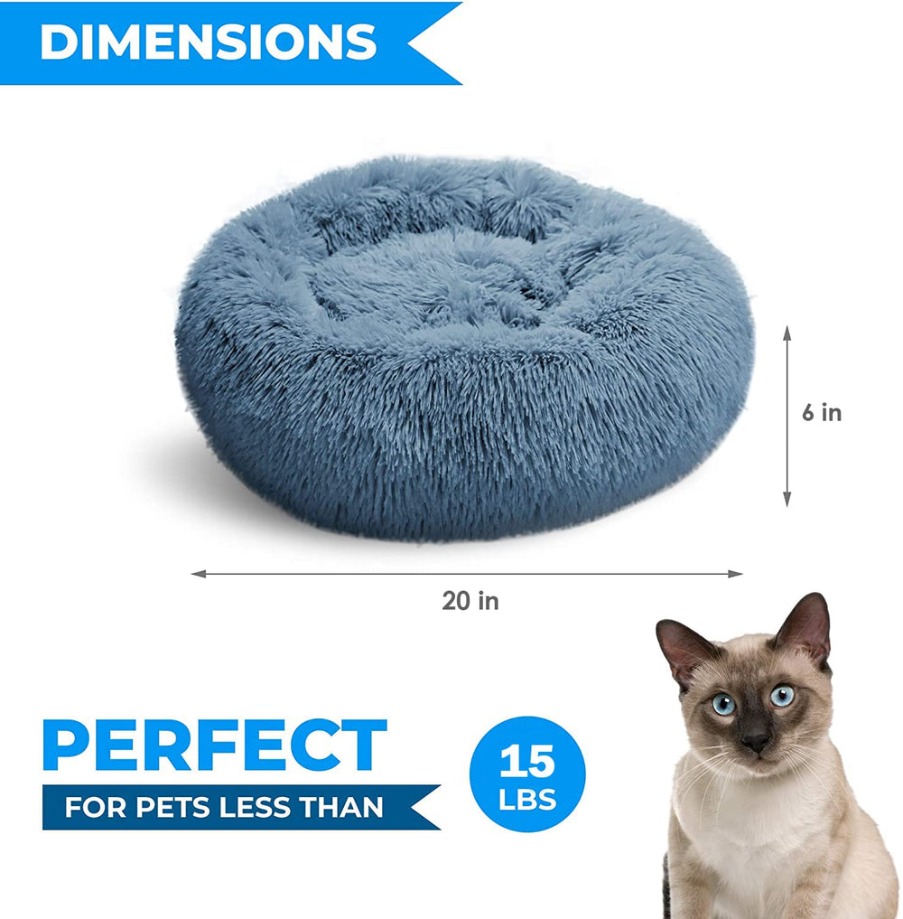 Whiskers & Friends donut bed raised rim closeup highlights a secure calming spot.