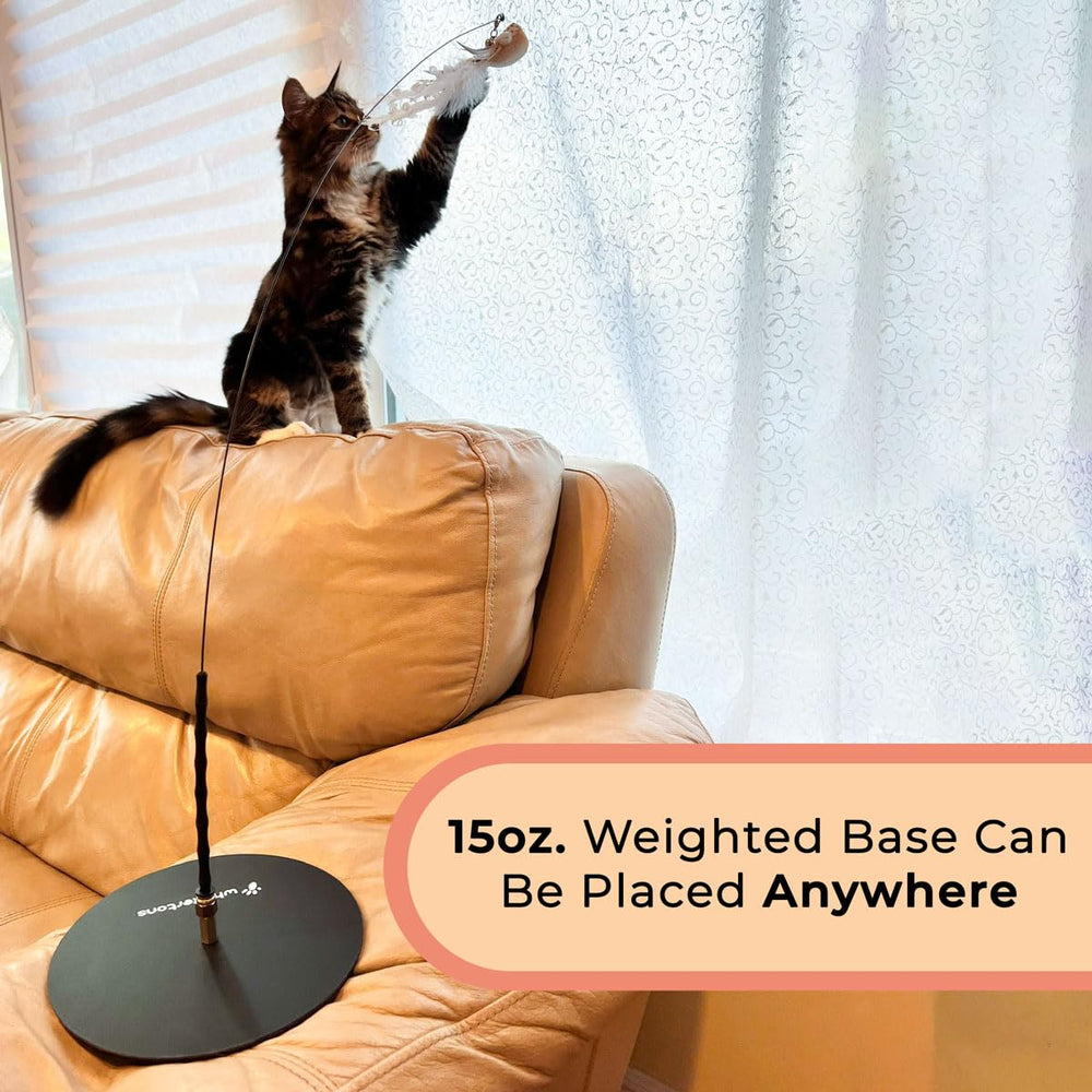 Whiskertons bell and feather detail attracts cats during lively chases.