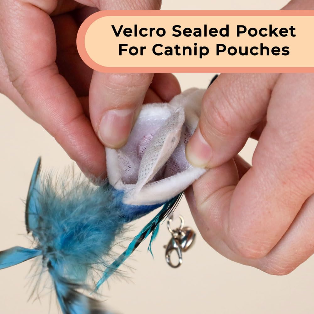 Whiskertons colorful birds stimulate cat focus with vibrant visuals.