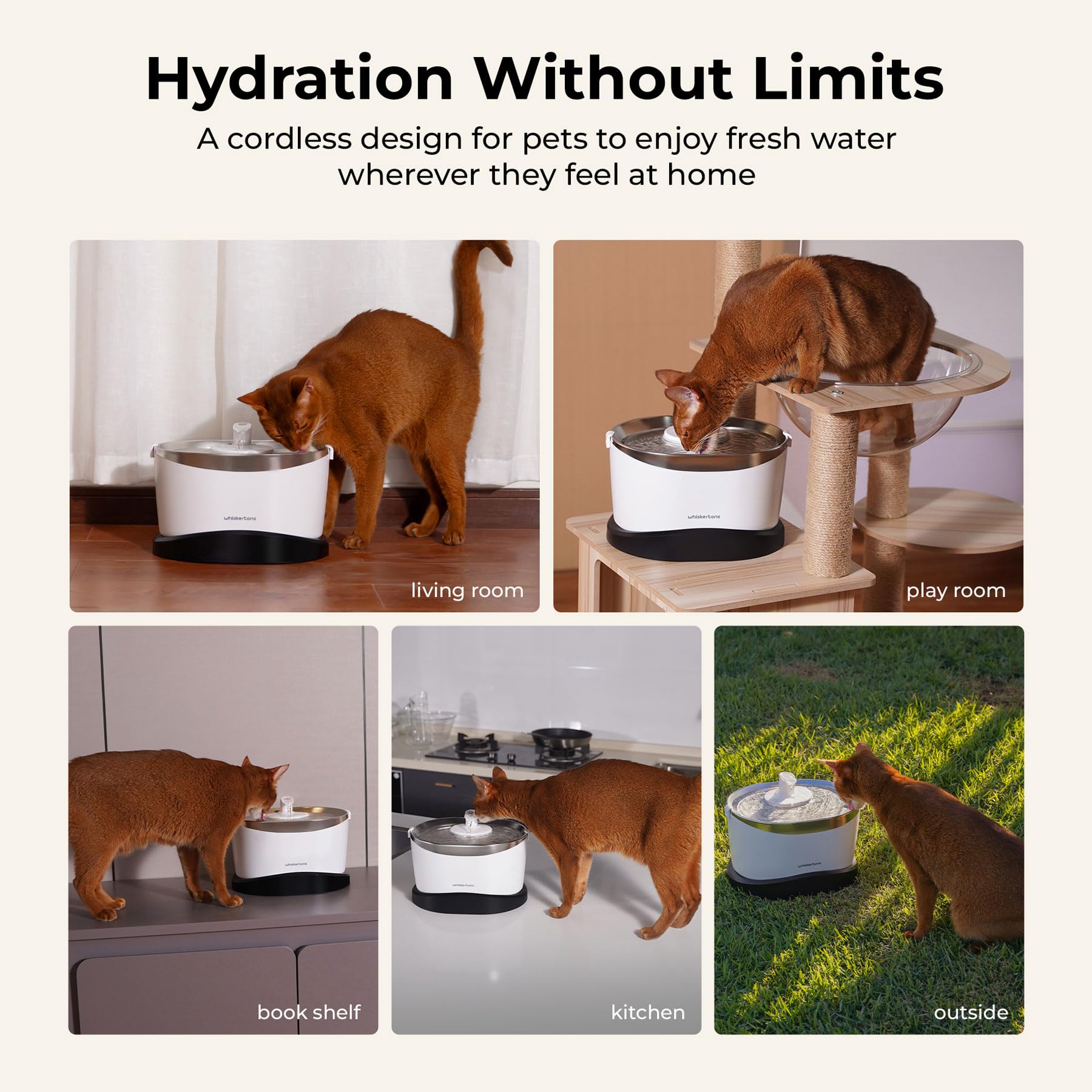 Whiskertons EverMount 3L-capacity display ensuring ample water for cats.