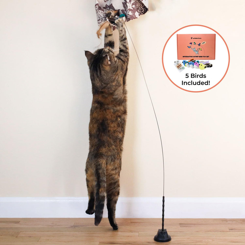 Whiskertons five catnip birds add colorful, inviting playtime variety.