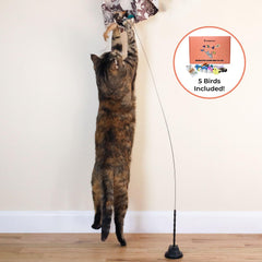Whiskertons five catnip birds add colorful, inviting playtime variety.