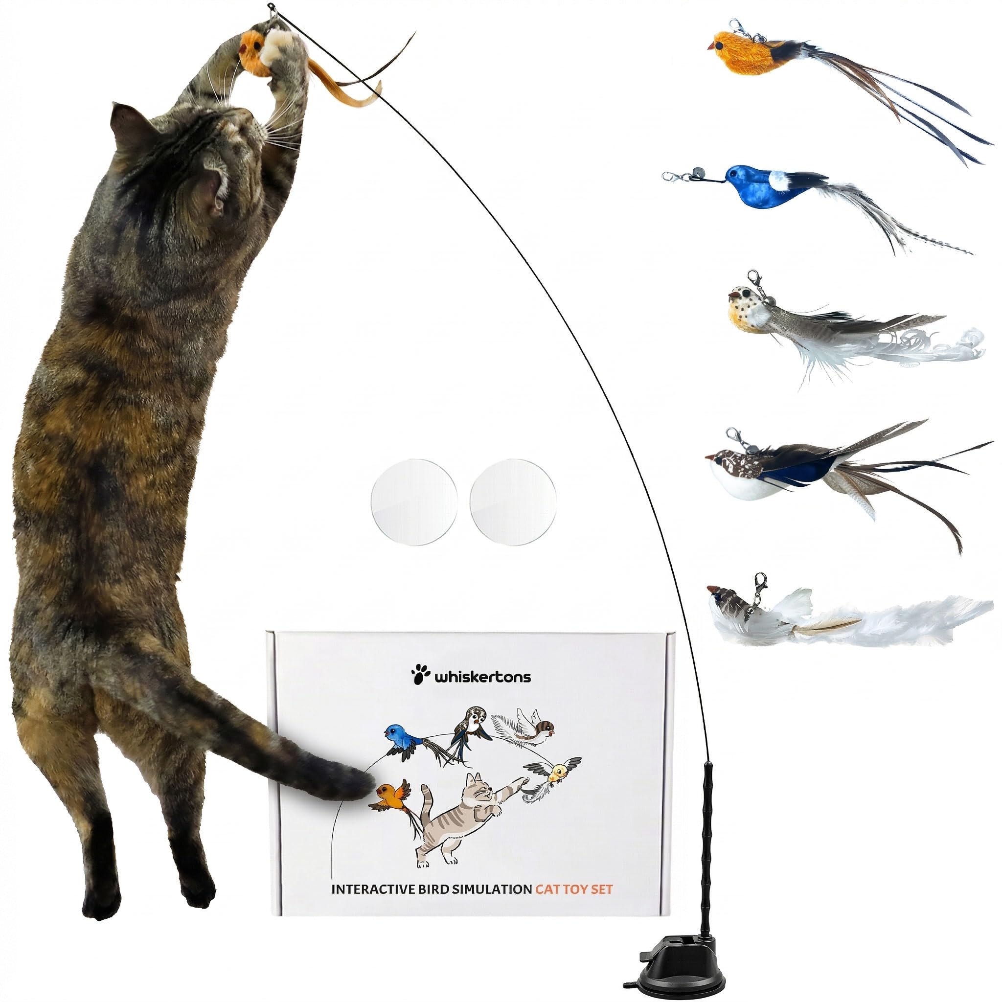 Whiskertons interactive bird toy base ready for independent play