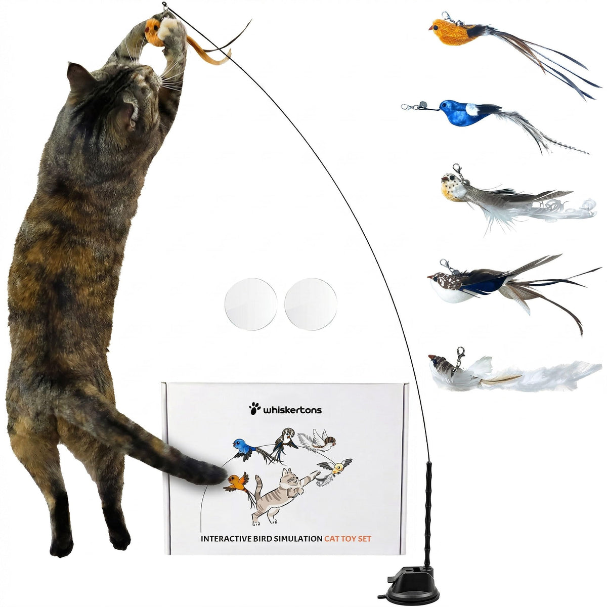 Whiskertons interactive bird toy base ready for independent play