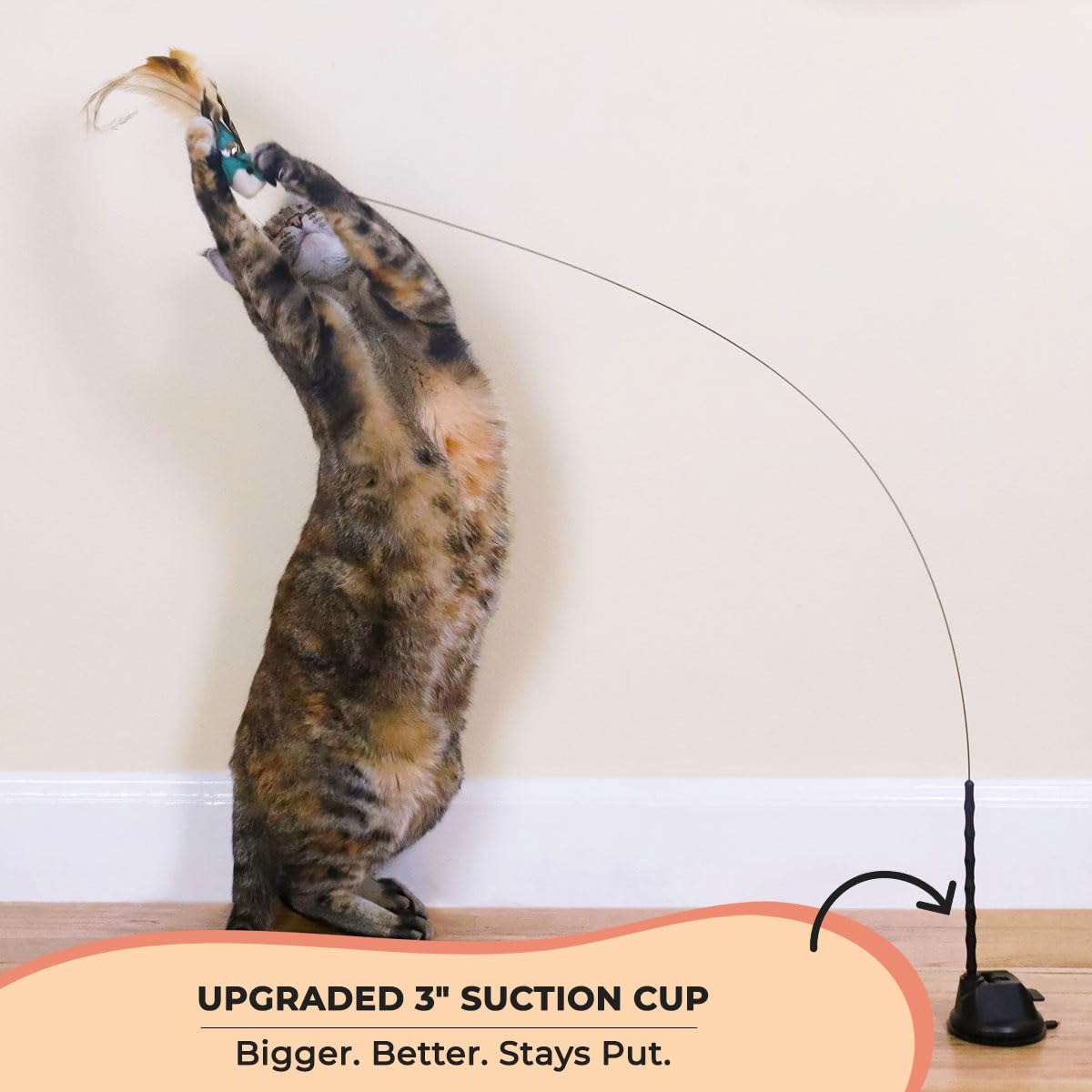 Whiskertons suction cup attachment keeps play secure on smooth surfaces.
