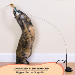 Whiskertons suction cup attachment keeps play secure on smooth surfaces.