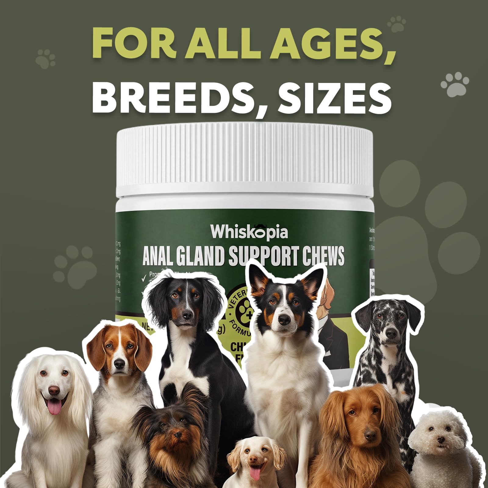 Whiskopia anal gland chews in a dog bowl for easy serving