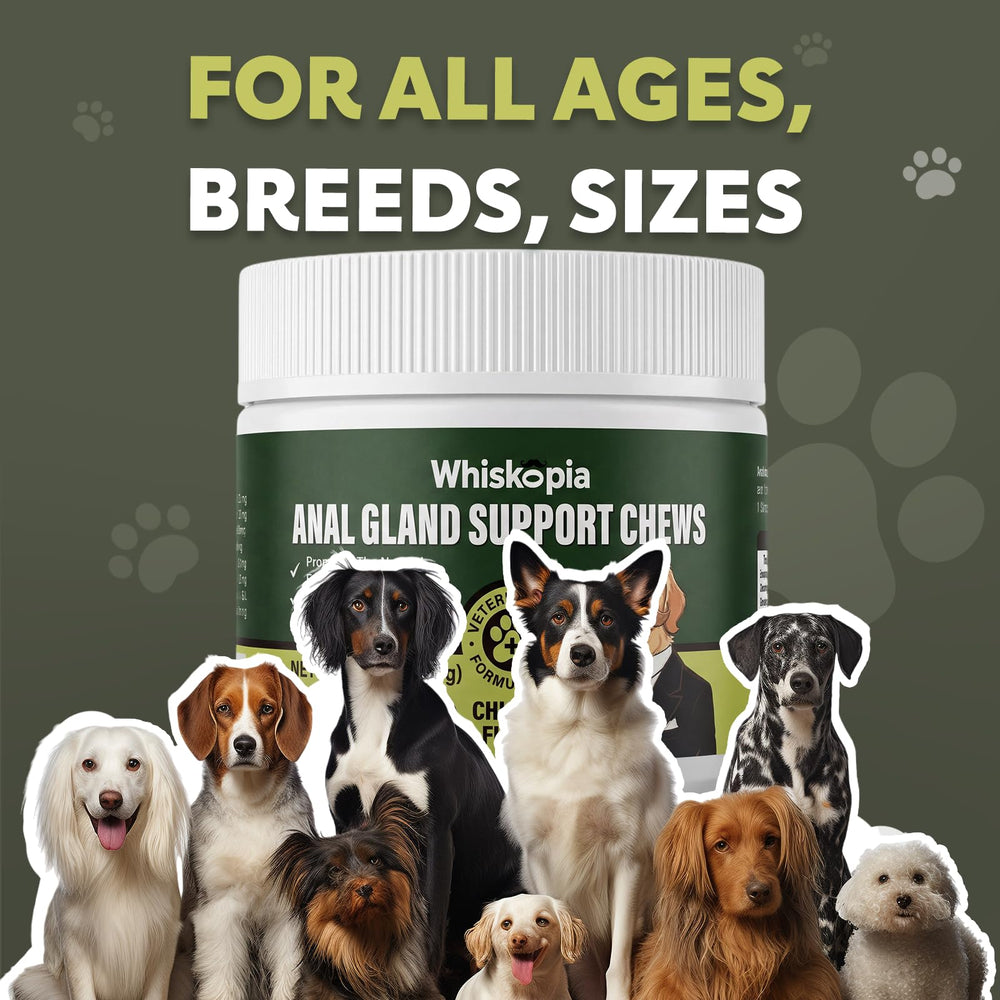 Whiskopia anal gland chews in a dog bowl for easy serving