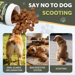 Whiskopia chews shown during dog feeding time for easy daily use