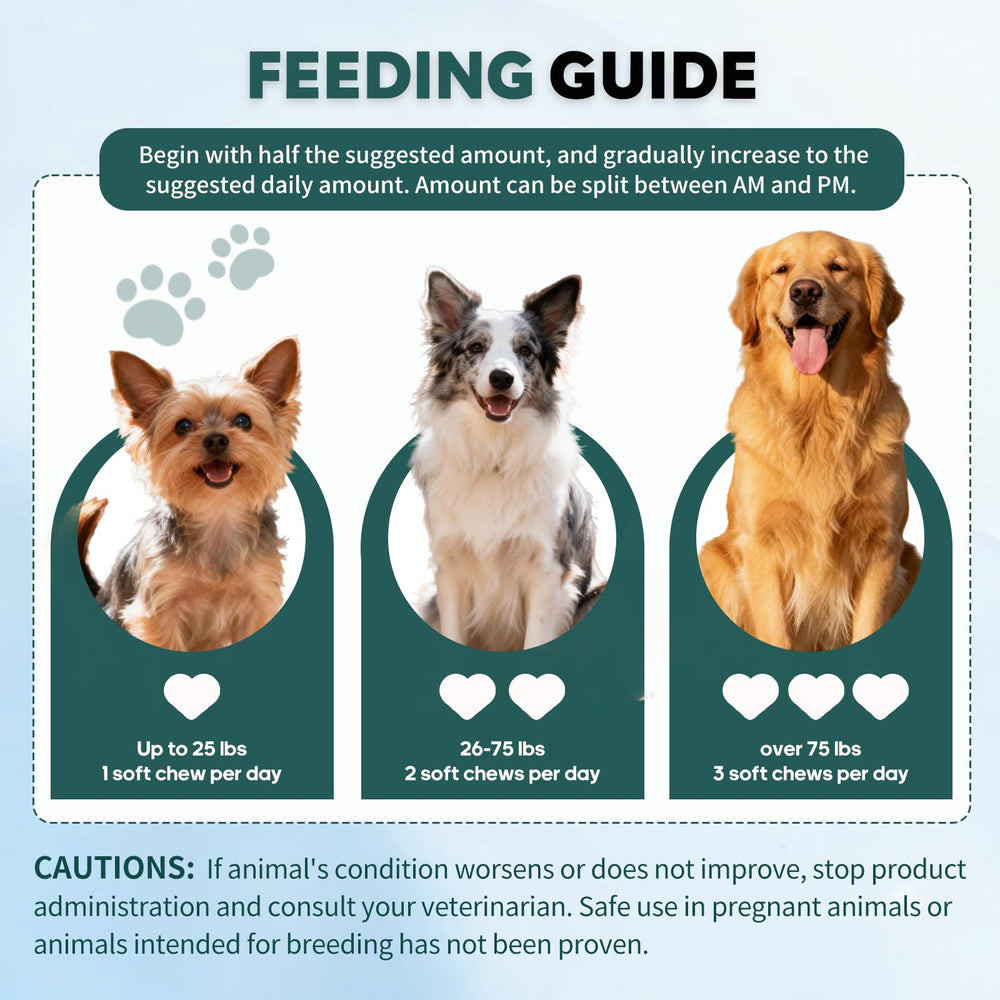 Whiskopia No Poo Chews ingredients label highlights probiotics, enzymes, pumpkin powder.