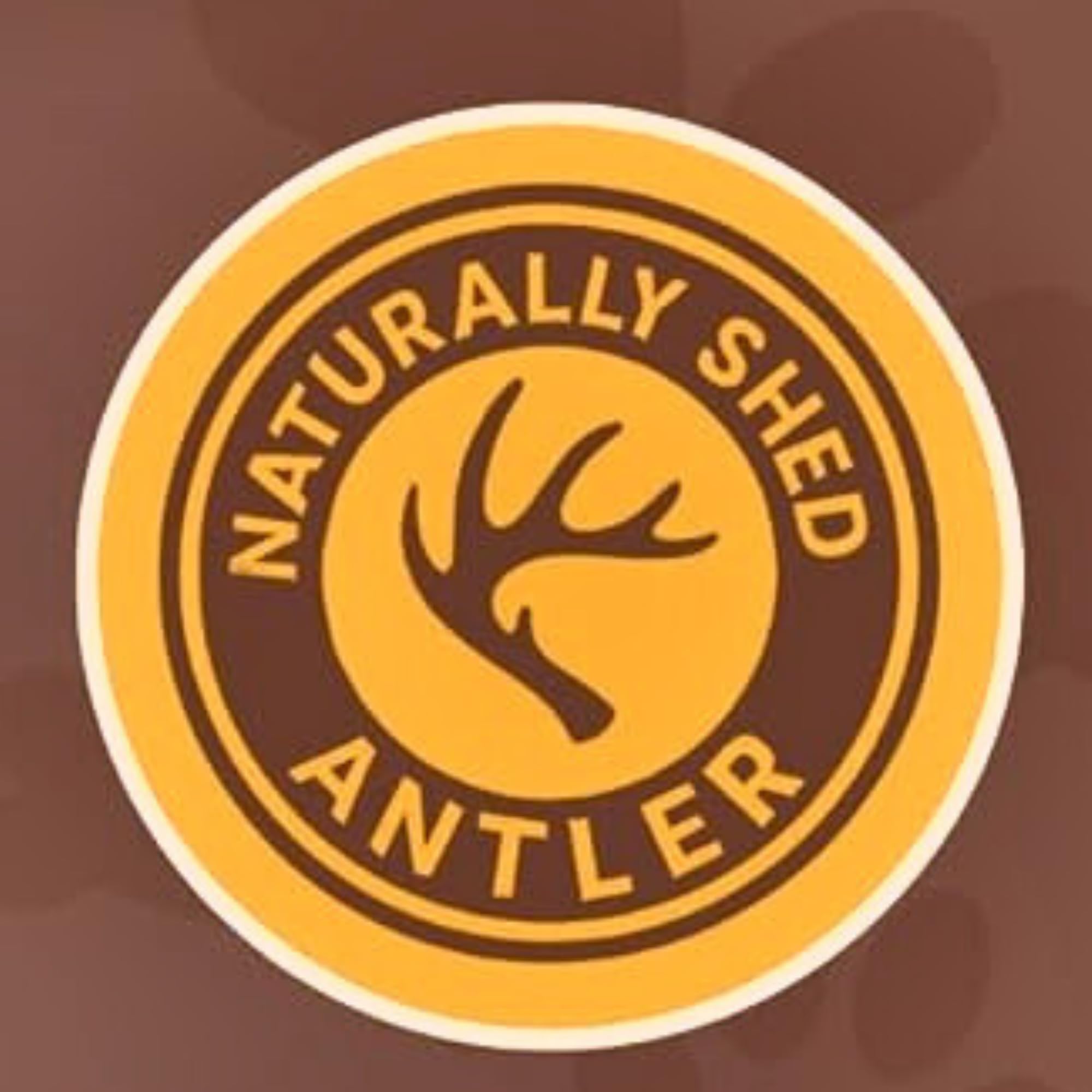 WhiteTail Naturals naturally shed elk antlers — cruelty-free and ethically sourced