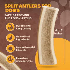 WhiteTail Naturals half-cut elk antlers — natural additive-free chewing option