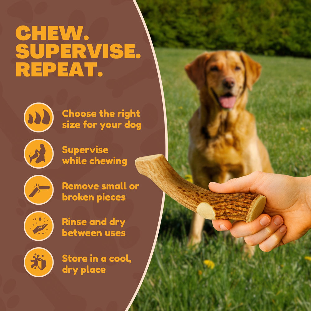 WhiteTail Naturals large antler chew for aggressive chewers.