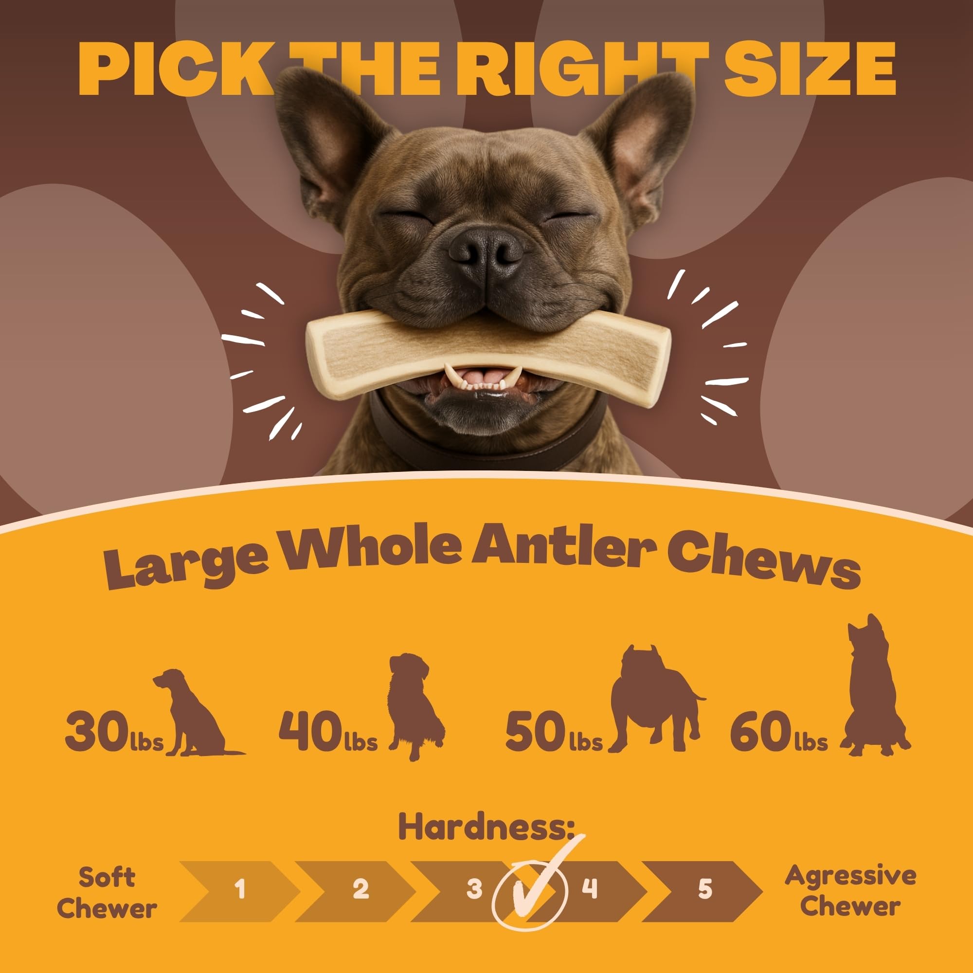 WhiteTail Naturals American-made antlers highlight ethical shedding and quality.