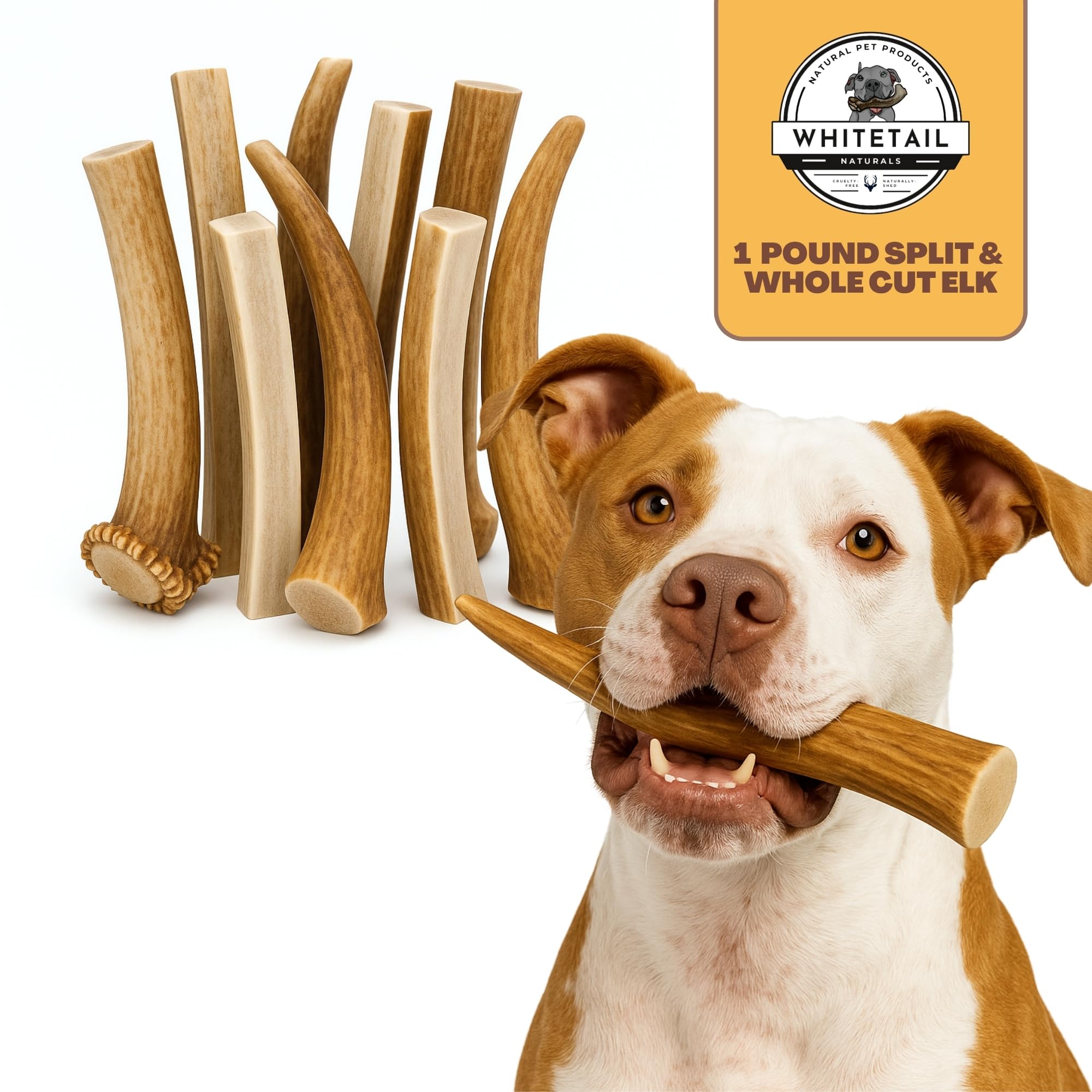 WhiteTail Naturals anxiety-calming use depicted with a dog enjoying sun-aged antler.