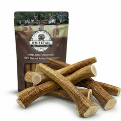 WhiteTail Naturals bulk elk antlers for dogs — durable chew for strong chewers.