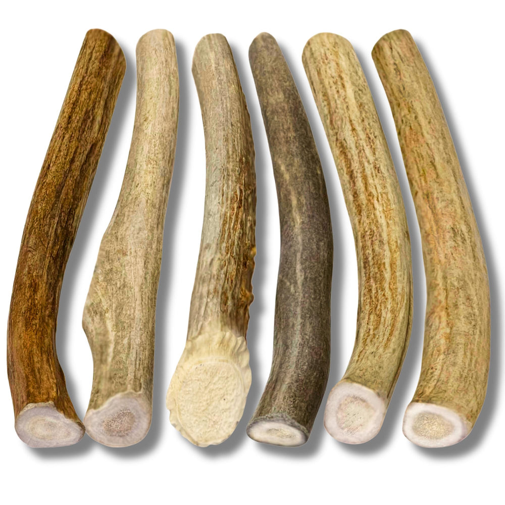 WhiteTail Naturals deer antler chew, 4–6 inches, durable for small breeds.