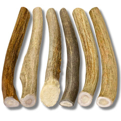 WhiteTail Naturals deer antler chew, 4–6 inches, durable for small breeds.