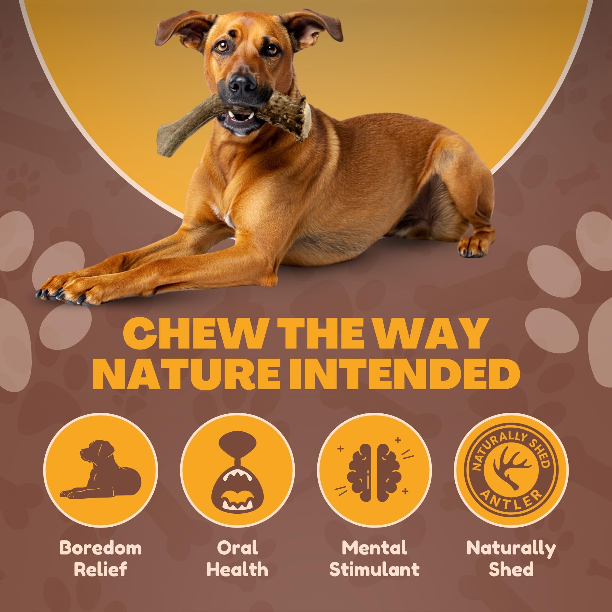 WhiteTail Naturals odorless deer antler chew, ideal for indoor use