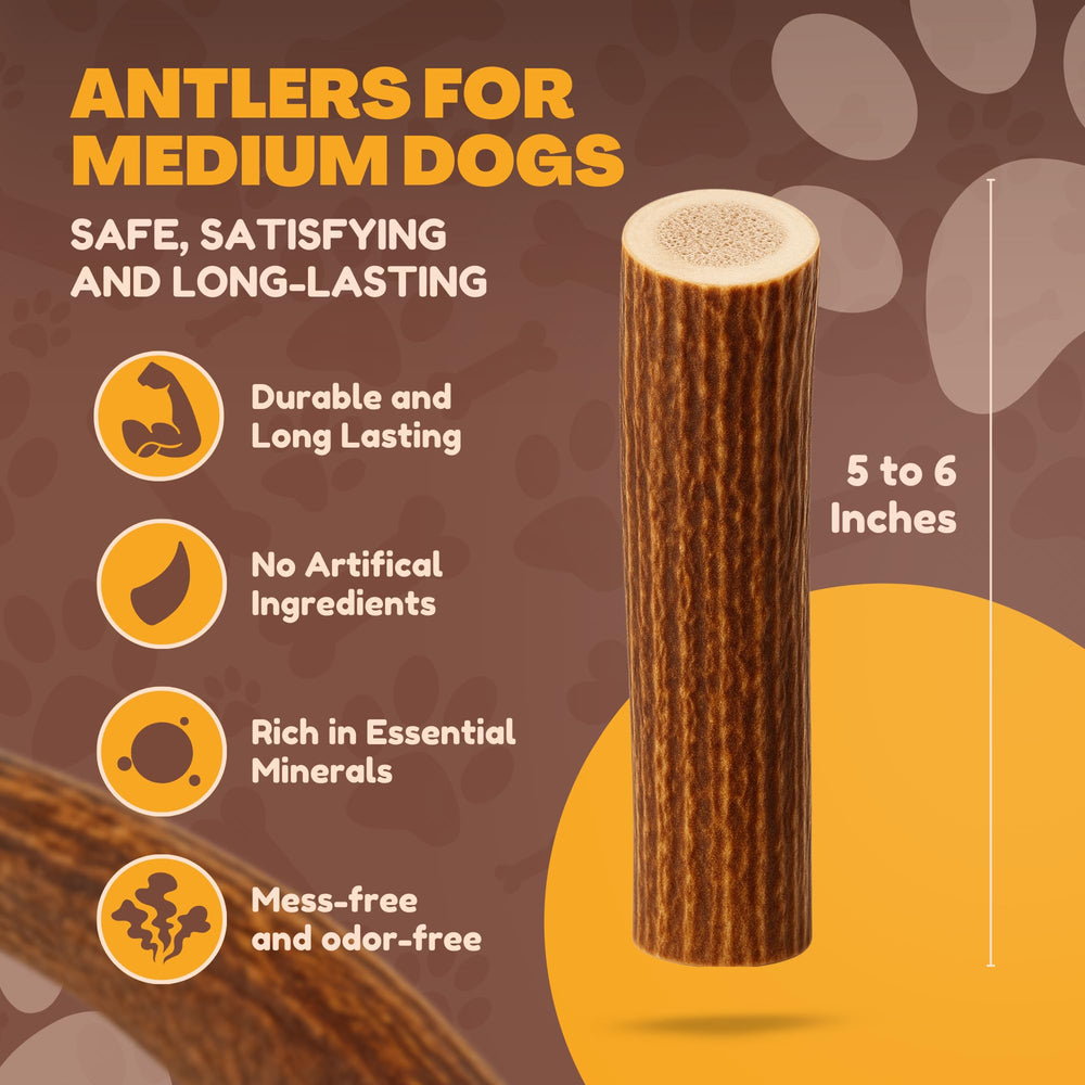 WhiteTail Naturals deer antler dog chew, Texas-made, durable for gentle chewers.