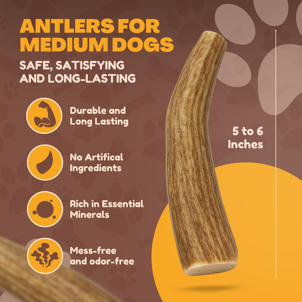 WhiteTail Naturals deer antler dog chews 3-pack medium hand-selected antlers ensure quality and safety