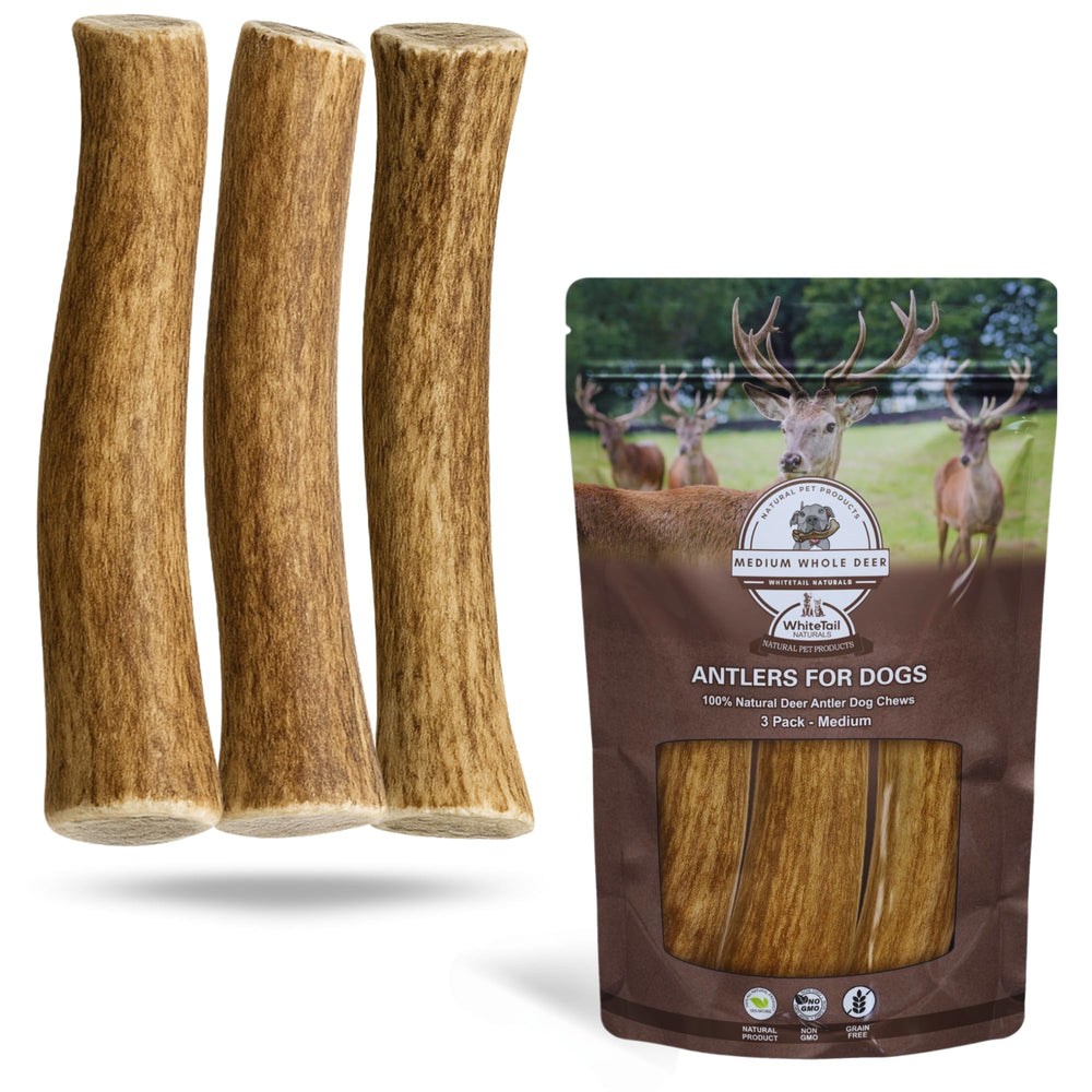 WhiteTail Naturals deer antler dog chews 3-pack medium pack offers long-lasting natural chewing for medium dogs