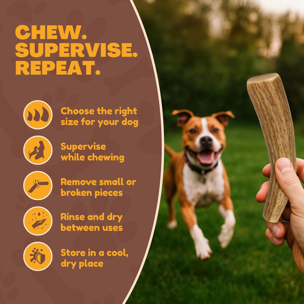 WhiteTail Naturals deer antler dog chews 3-pack medium edges sanded for safer chewing