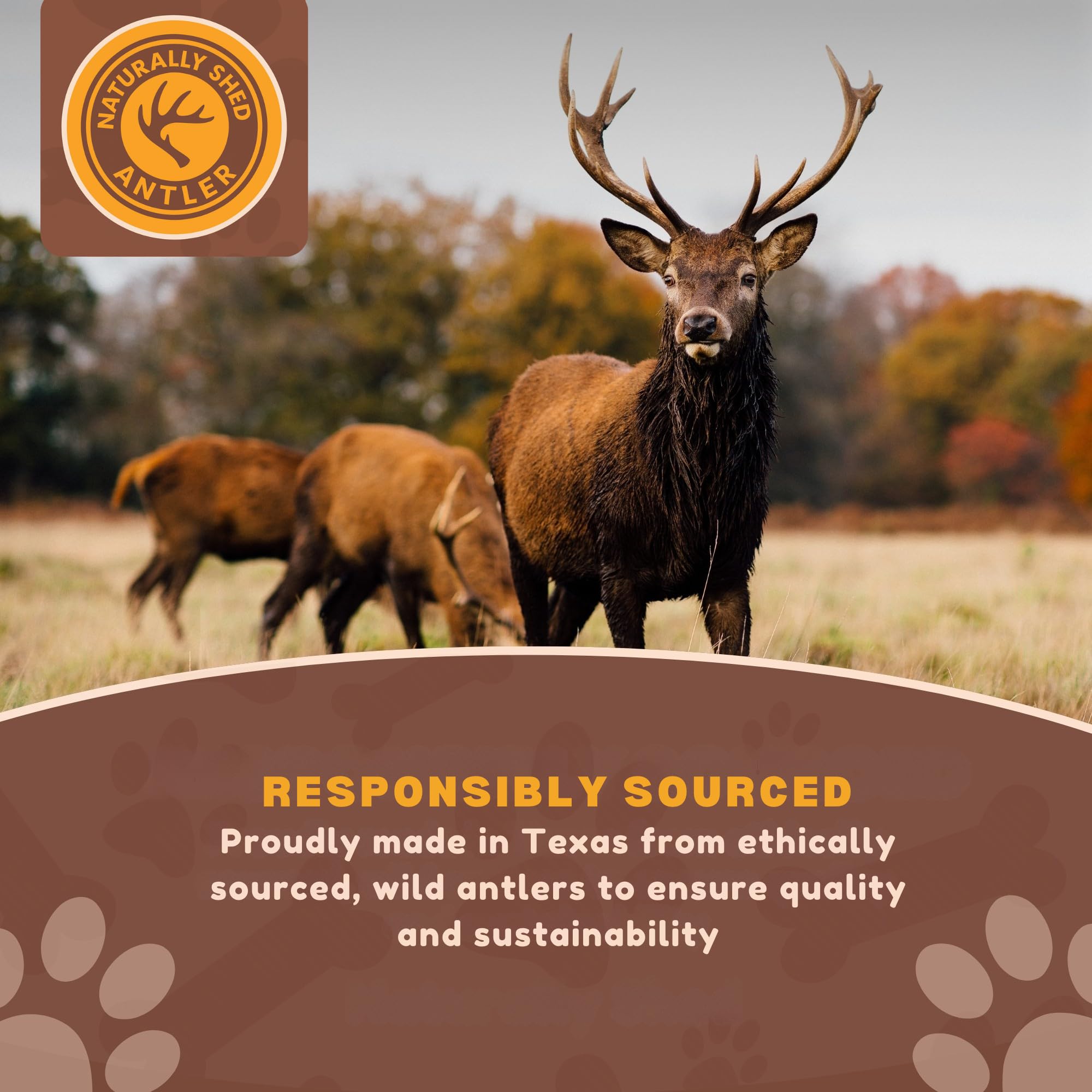 WhiteTail Naturals deer antler dog chews 3-pack medium single-ingredient all-natural chew for dogs