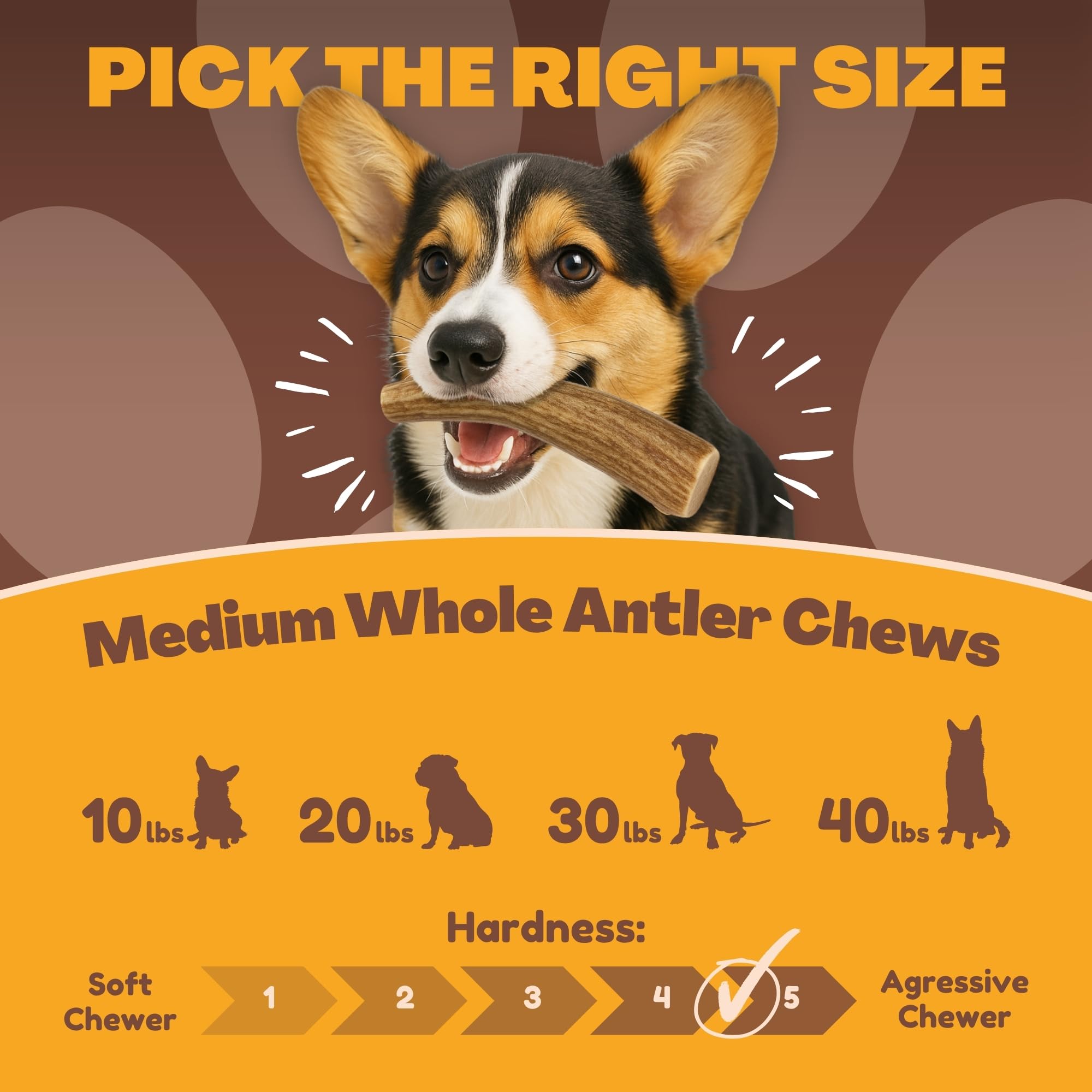 WhiteTail Naturals deer antler dog chews 3-pack medium texas-made from naturally shed antlers
