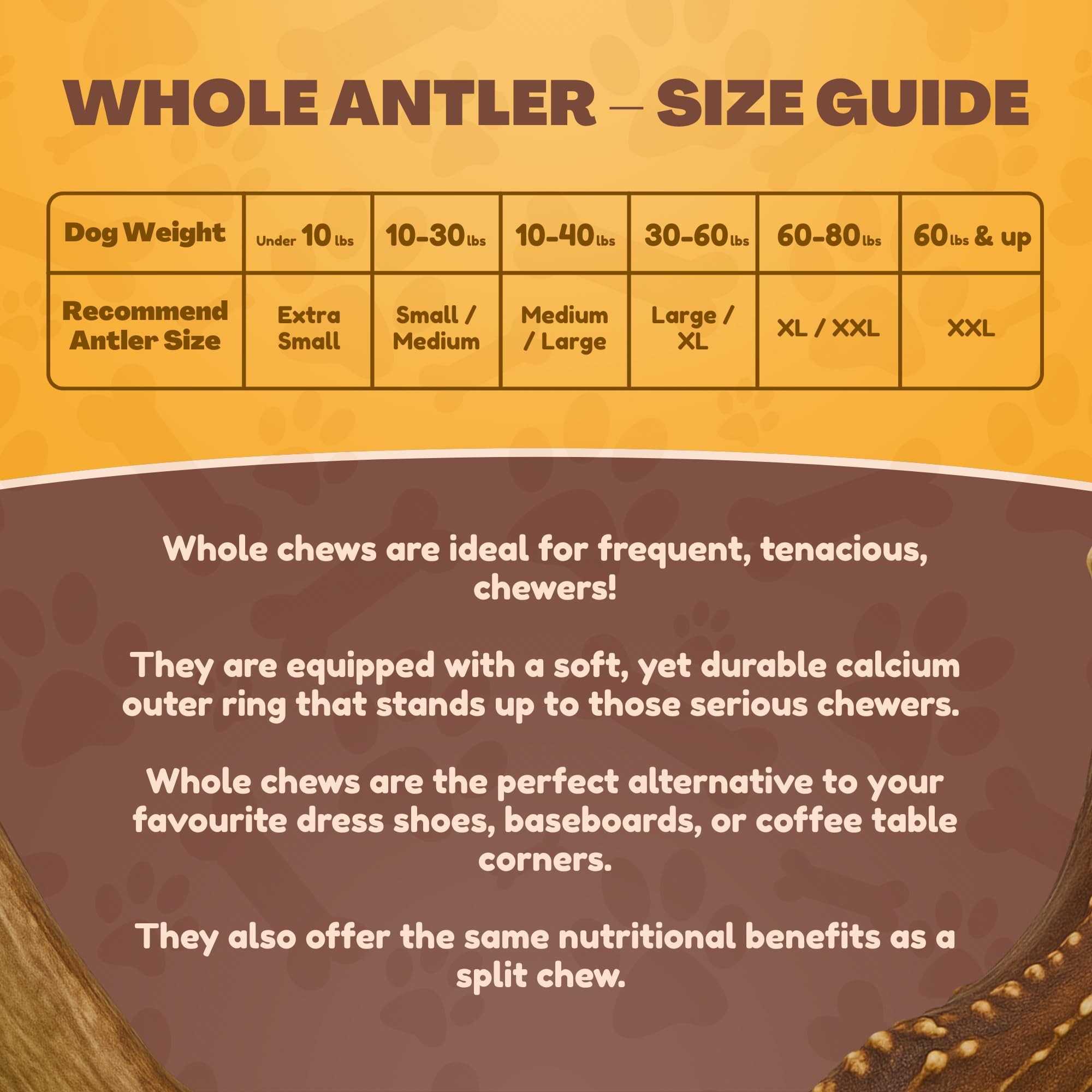 WhiteTail Naturals deer antler is sanded to remove sharp edges.