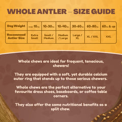 WhiteTail Naturals deer antler is sanded to remove sharp edges.