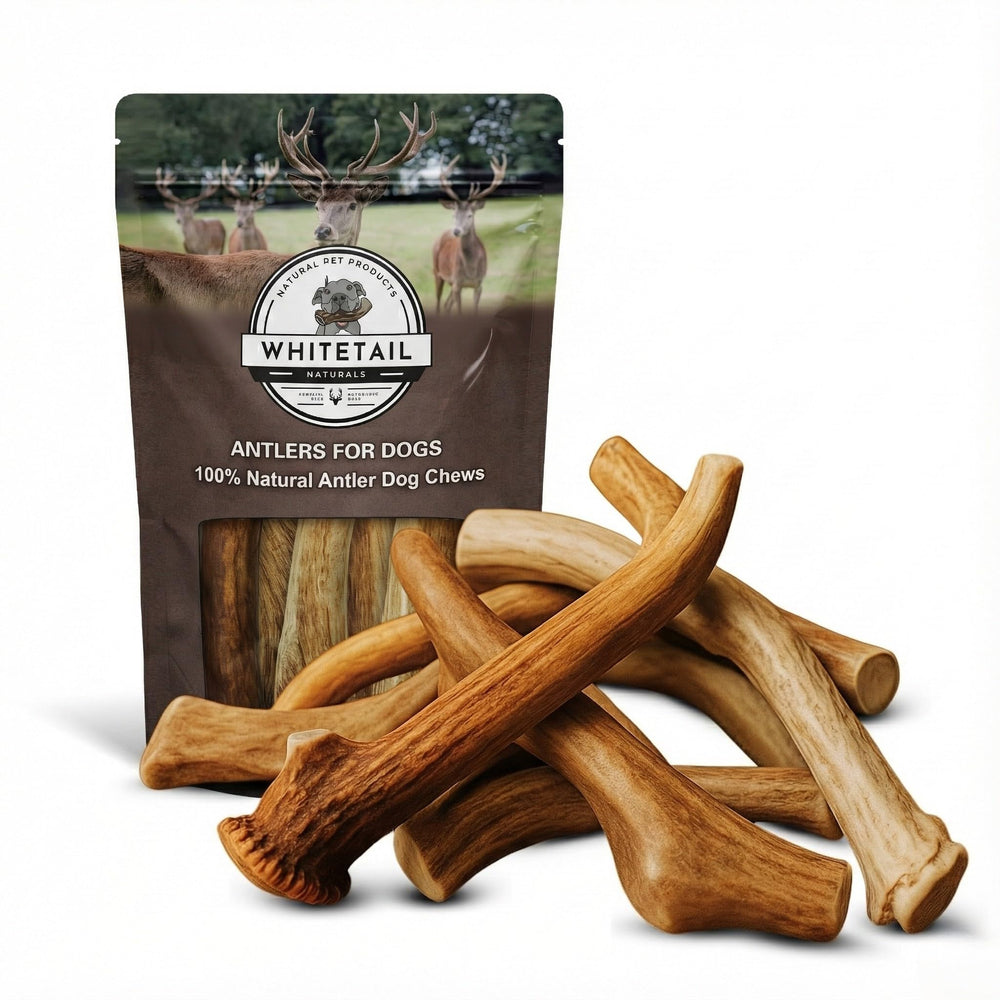 WhiteTail Naturals deer antlers for dogs bulk pack showing 4-5 chews for long-lasting entertainment