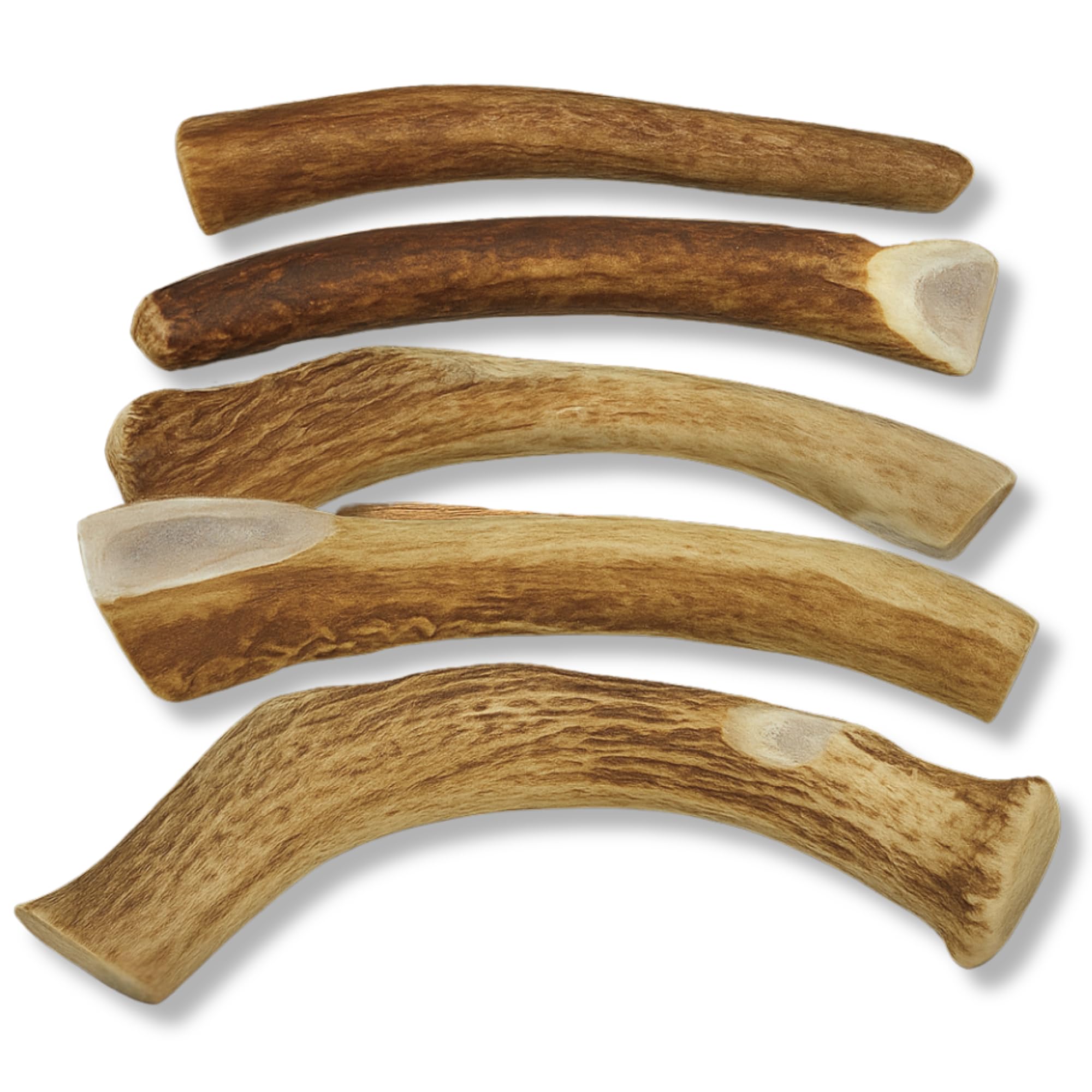 Odorless and mess-free WhiteTail Naturals antlers for indoor use