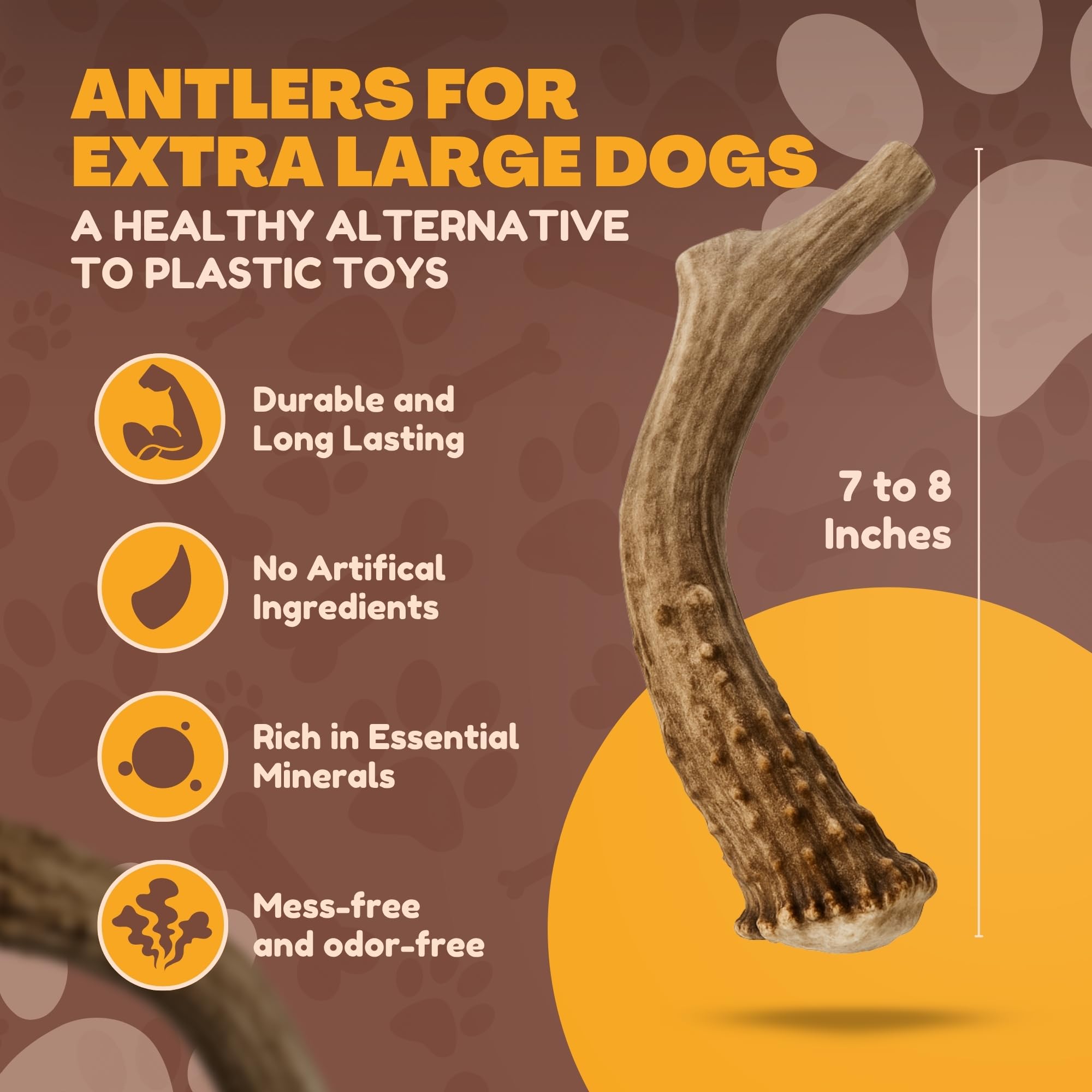 WhiteTail Naturals deer antlers naturally shed, responsibly sourced for eco-friendly chewing