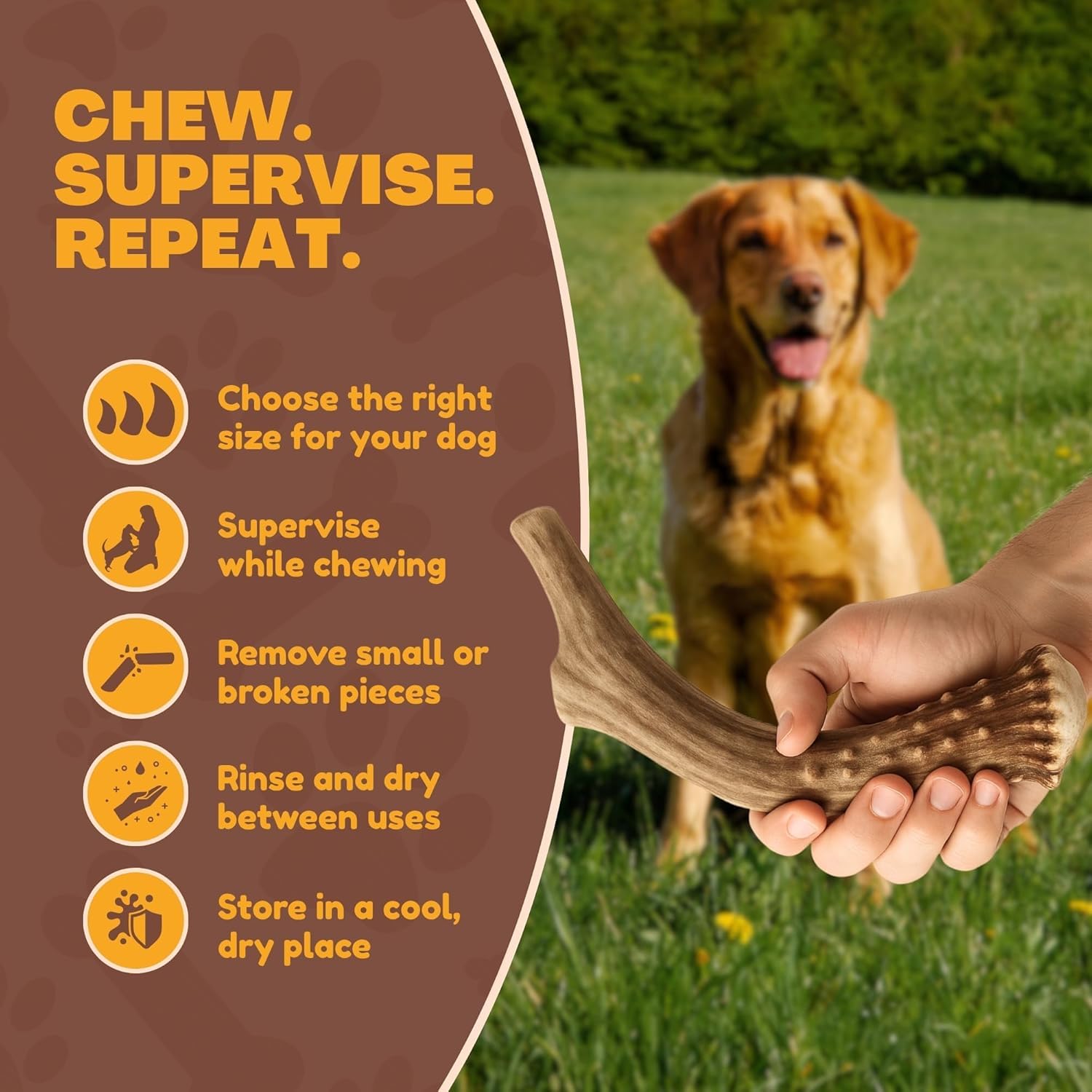 WhiteTail Naturals deer antler chew with dog enjoying the chew