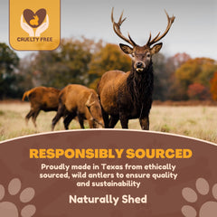 WhiteTail Naturals elk antler chew close-up texture shows natural surface for safe chewing.