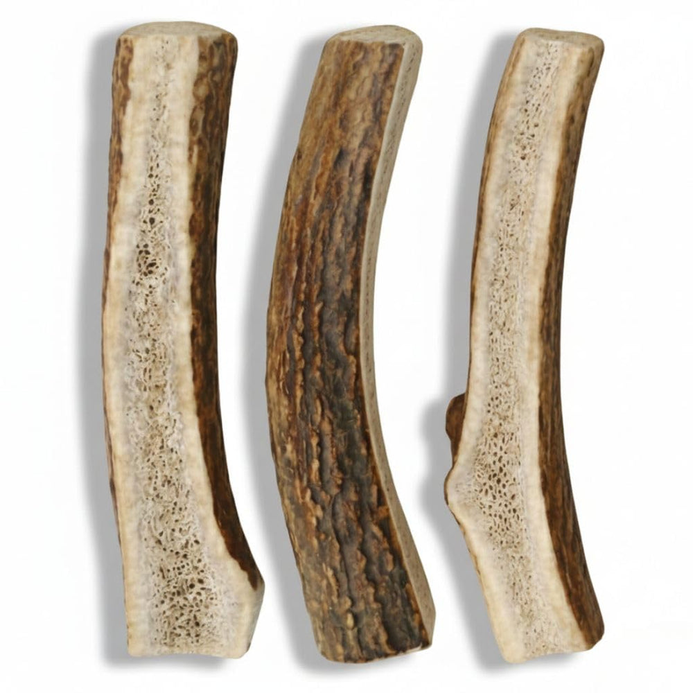 Ethically sourced Grade A elk antlers, hand-selected and Texas-cut