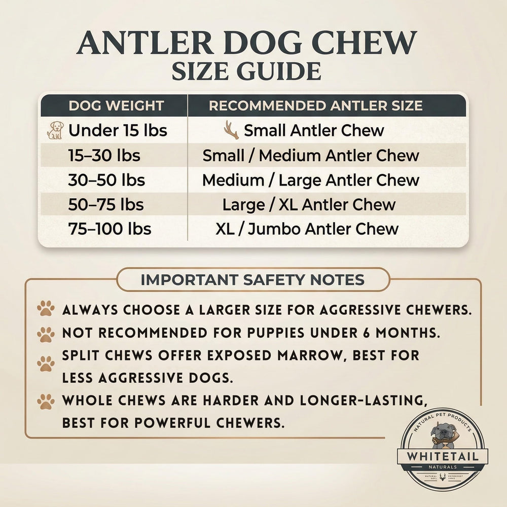 WhiteTail Naturals Grade A elk antlers, premium canine chews.