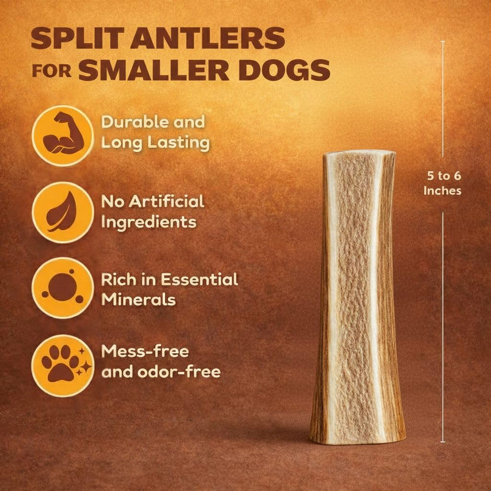 WhiteTail Naturals half-cut elk antlers provide easier marrow access for dogs.
