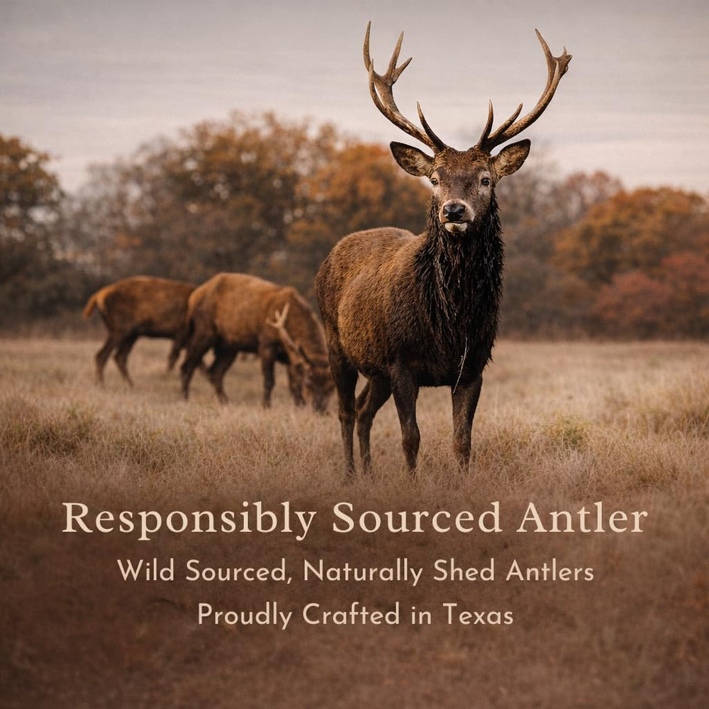 WhiteTail Naturals hand-crafted ethically sourced antlers offer natural minerals and dental-friendly chewing.