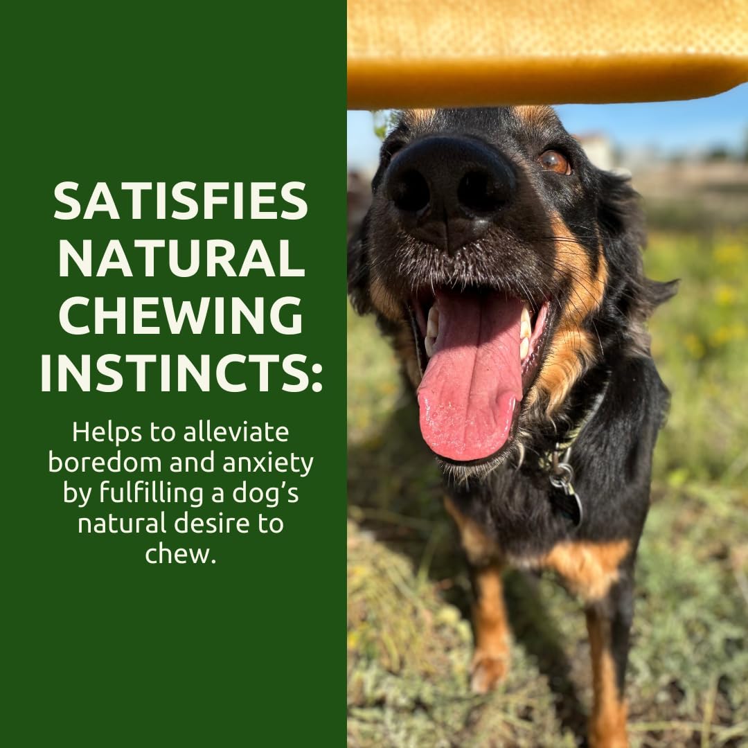 WhiteTail Naturals Himalayan Dog Chew—crafted in the Himalayas for safety.