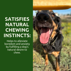 WhiteTail Naturals Himalayan Dog Chew—crafted in the Himalayas for safety.