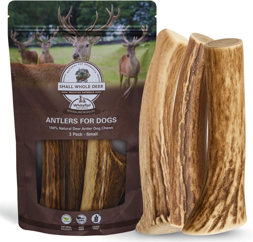 WhiteTail Naturals 3-pack antlers support safe chewing for small breeds.