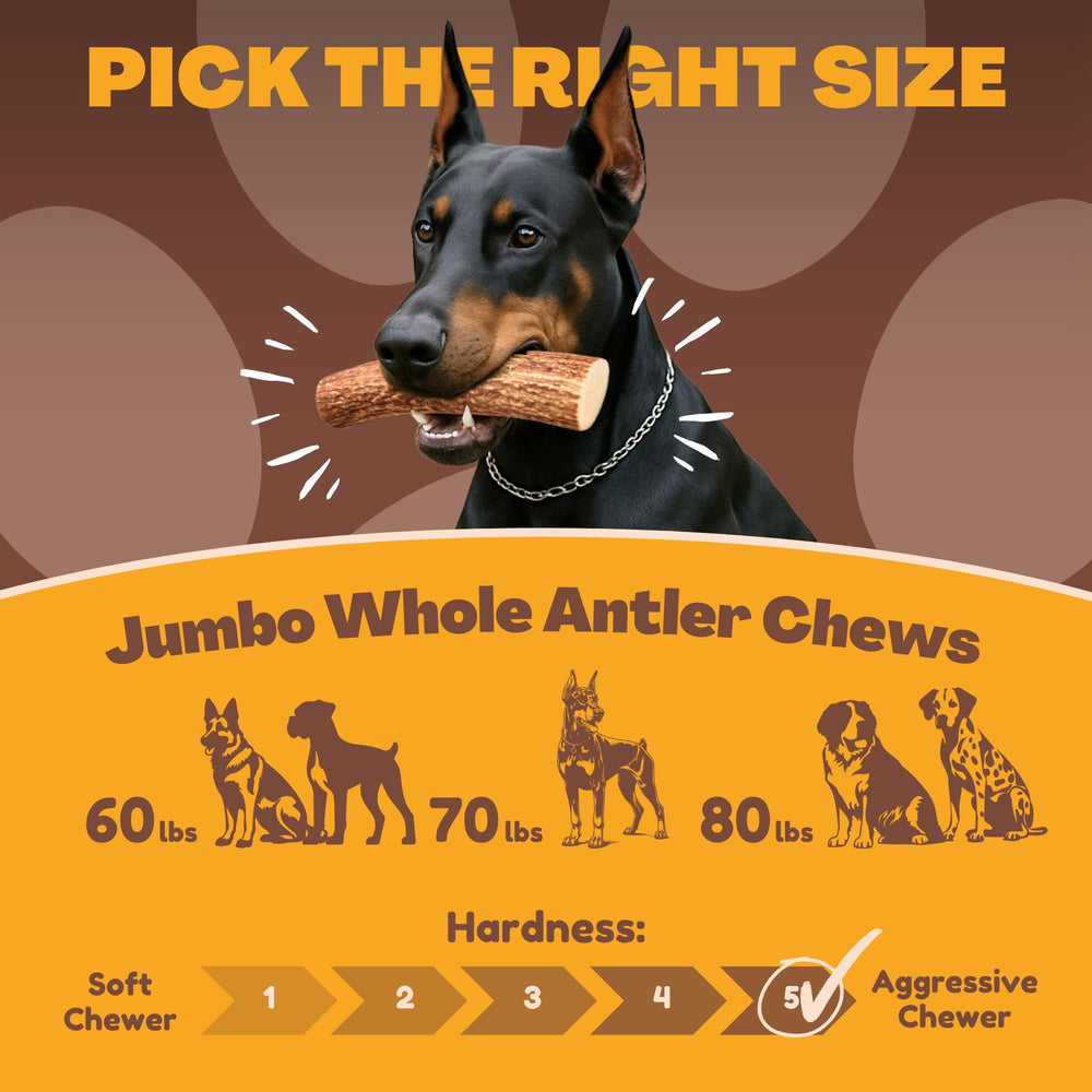 WhiteTail Naturals Jumbo XXL deer antler odorless chew with no mess.