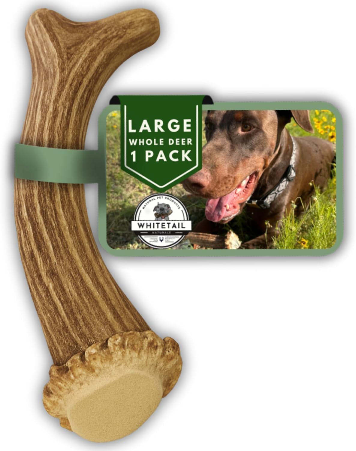 WhiteTail Naturals large deer antler chew for aggressive chewers indoors, odorless.